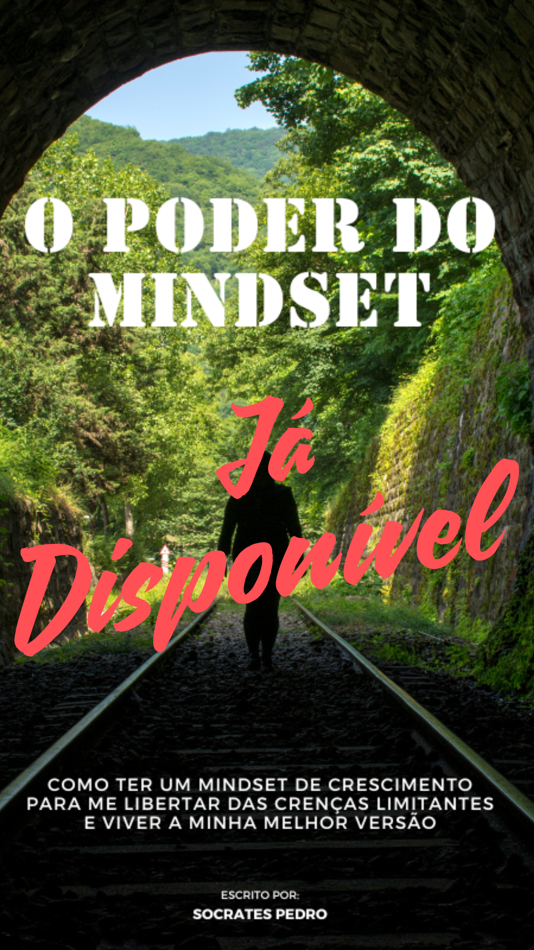 O Poder do Mindset — capa do ebook